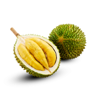 新鲜猫山王榴莲 -5公斤 包邮