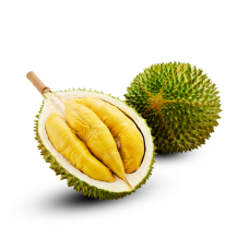 新鲜猫山王榴莲 -5公斤 包邮